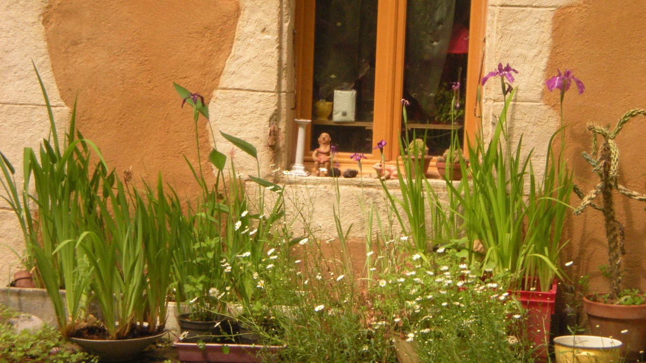 Photo of Outdoor in Vic-Fezensac
