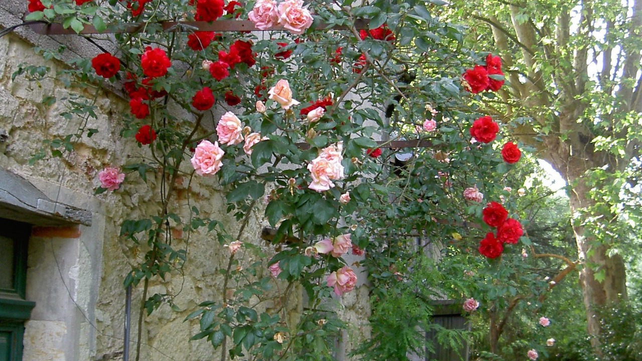 Photo of Outdoor in Vic-Fezensac
