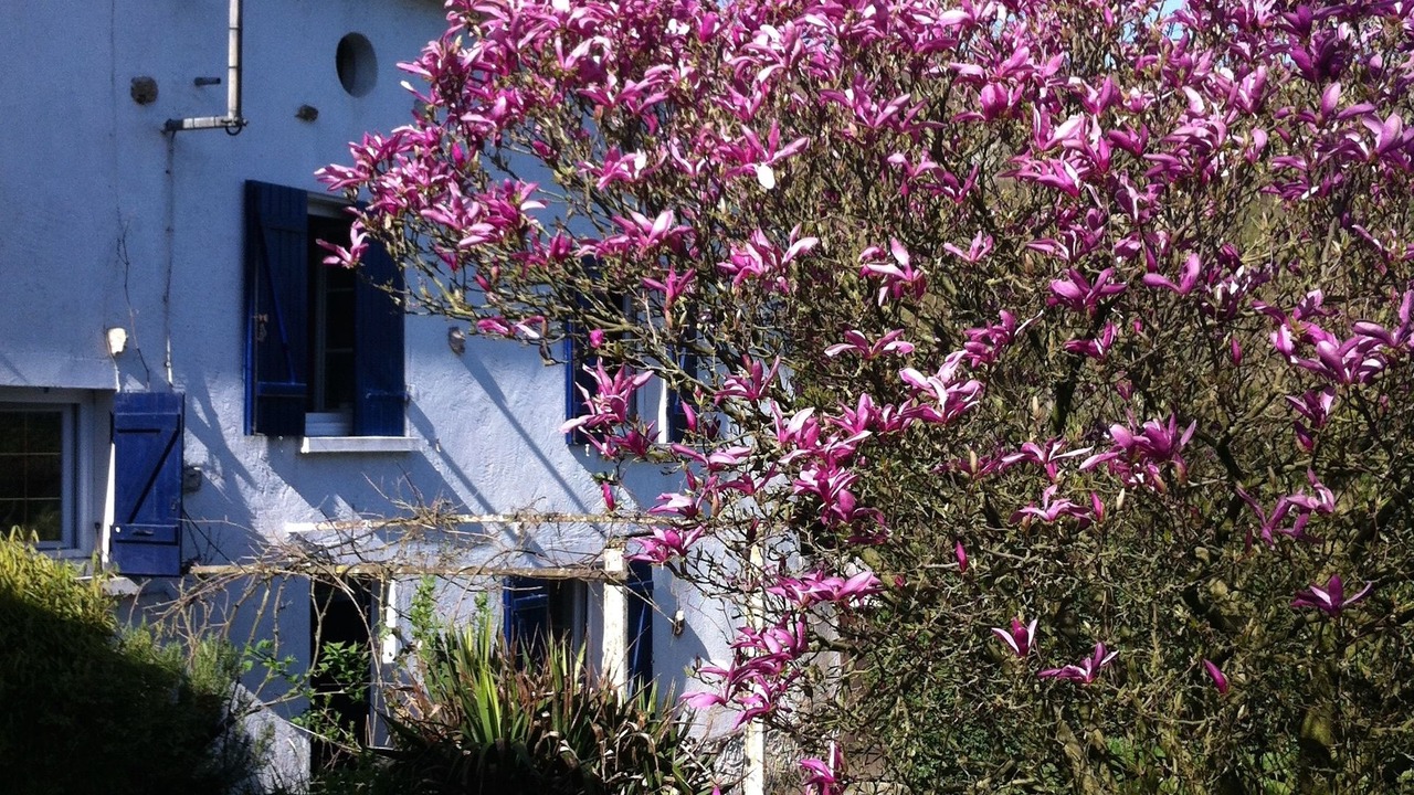 Photo of Outdoor in Verdilly