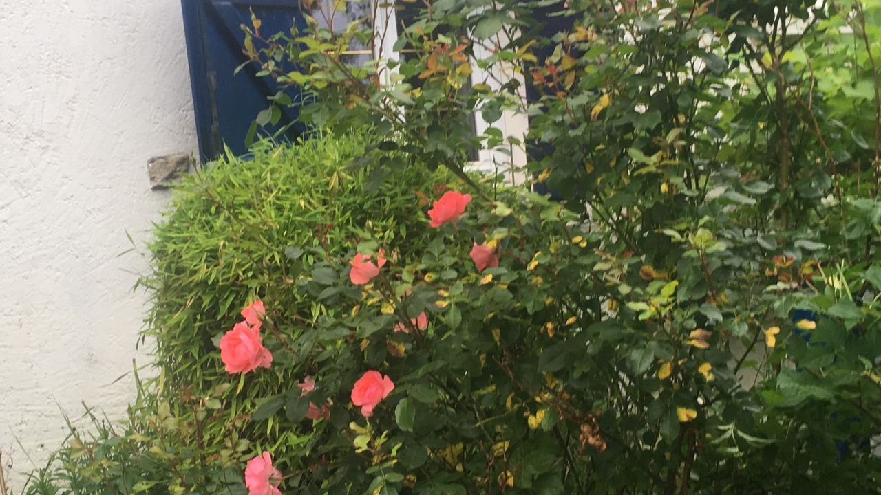 Photo of Outdoor in Verdilly