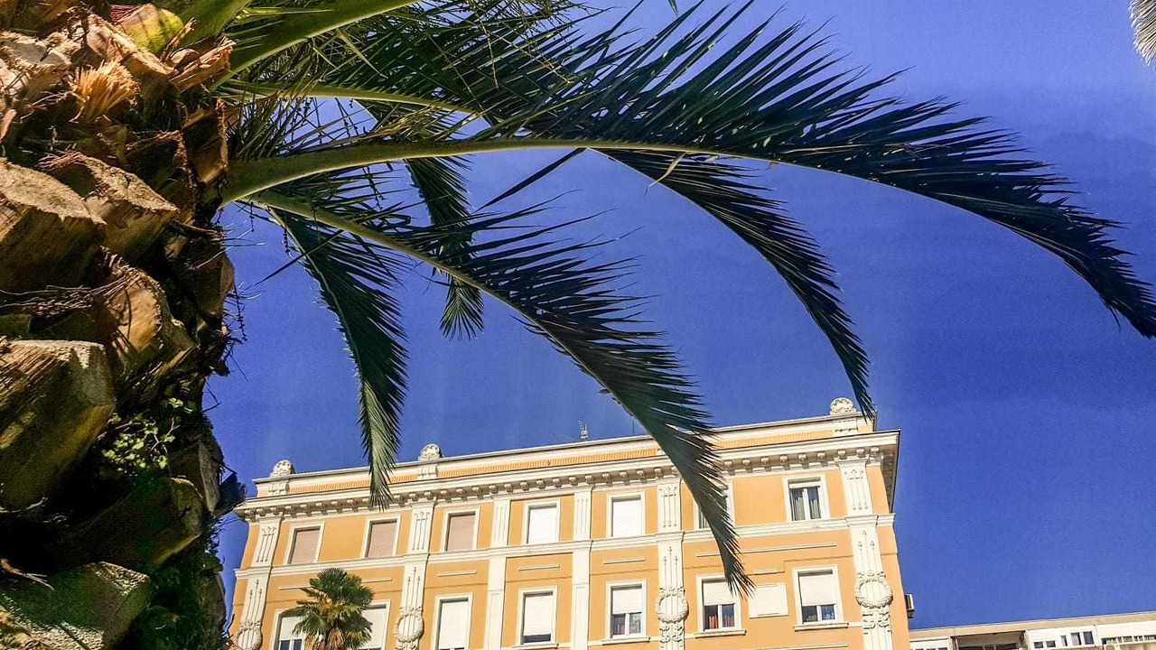 Photo of Outdoor in Zadar