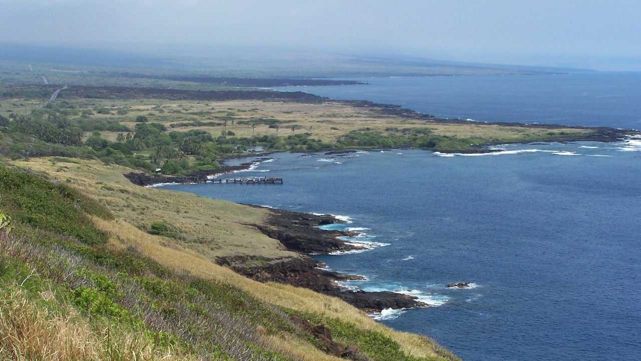 Photo of Others in Ocean View