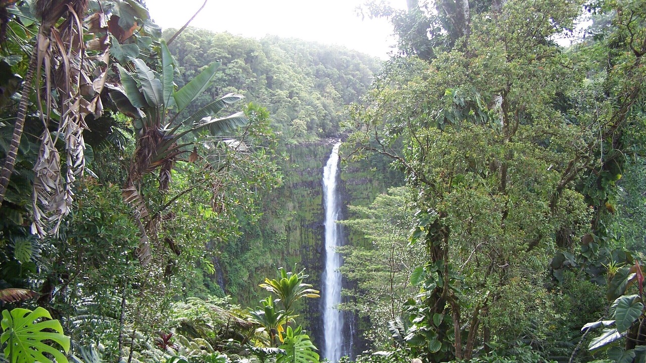 Photo of Outdoor in Ocean View