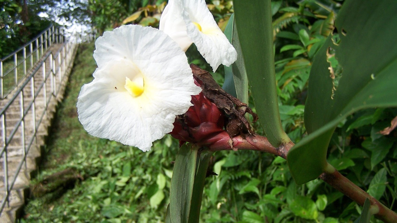 Photo of Outdoor in Ocean View