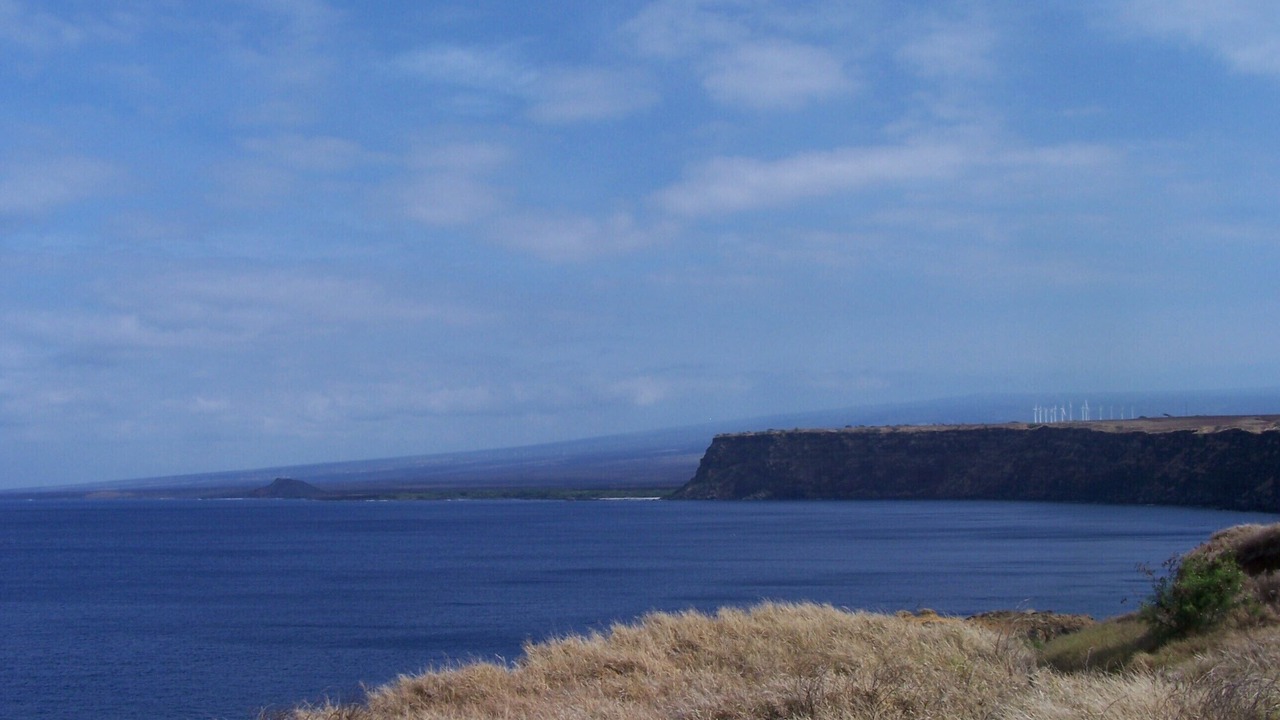 Photo of Others in Ocean View