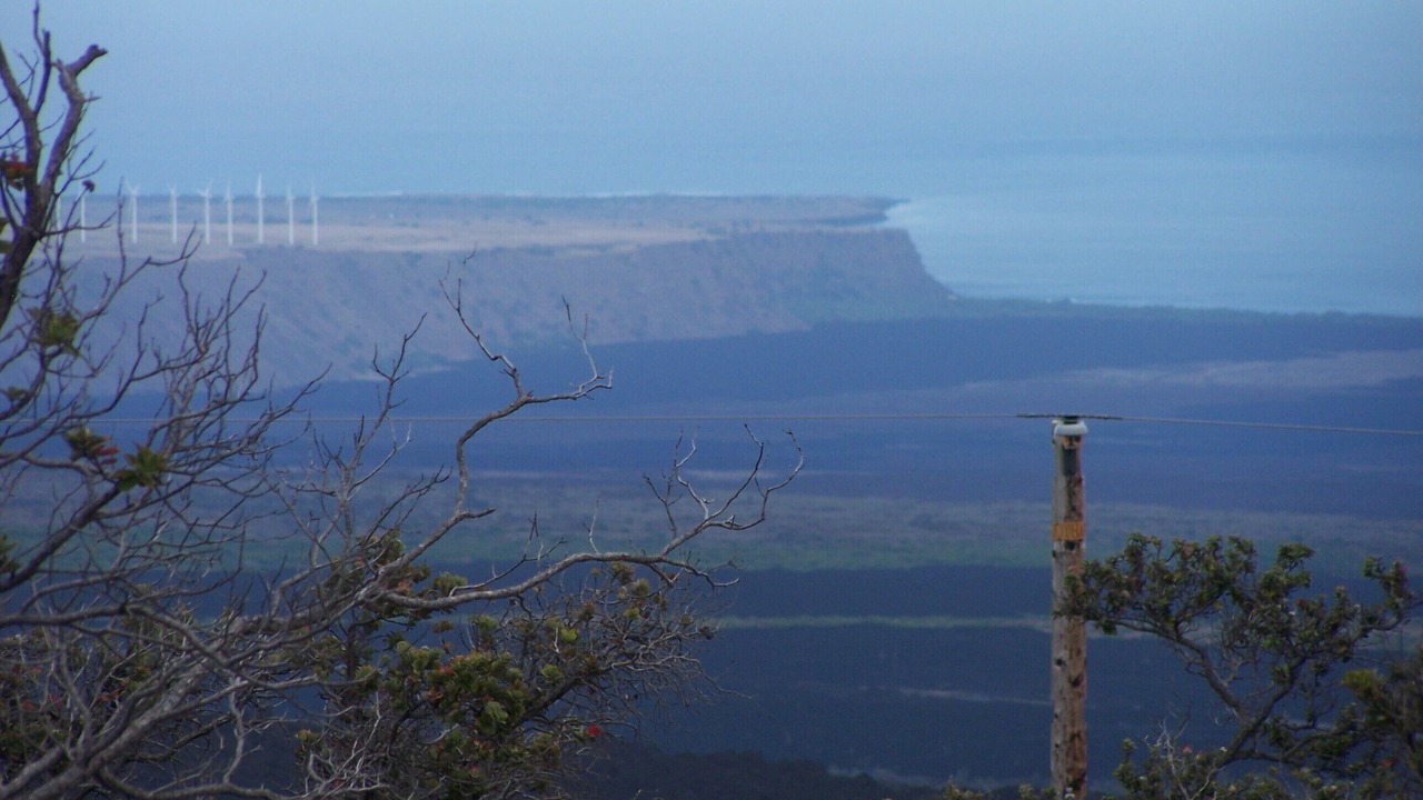 Photo of Others in Ocean View