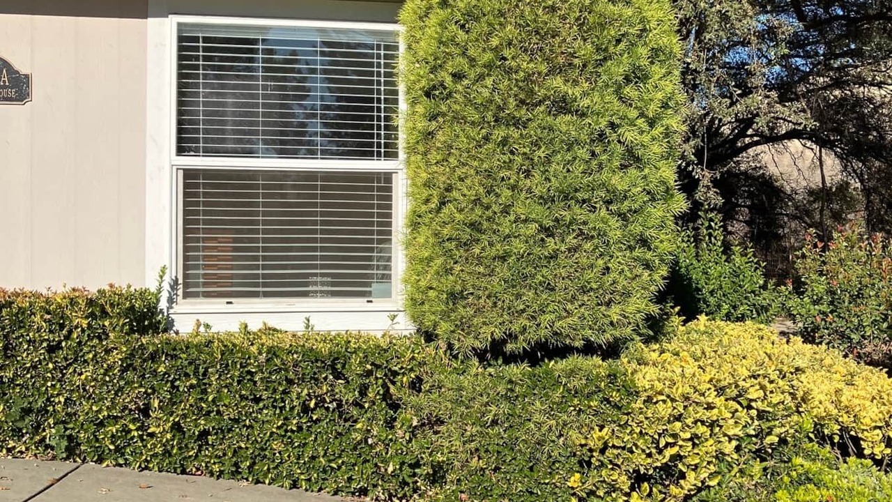 Photo of Outdoor in Vacaville