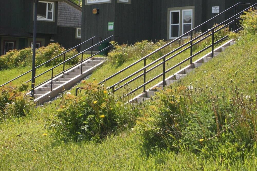 Photo of Others in Corner Brook