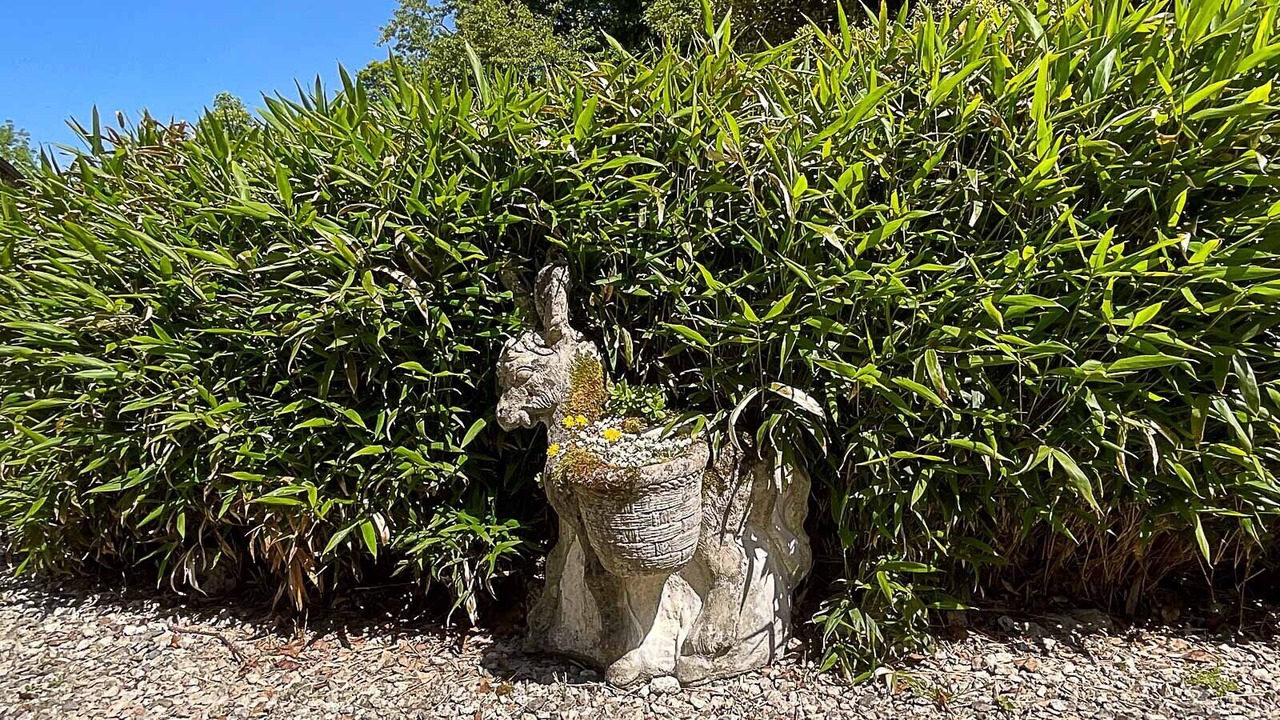 Photo of Outdoor in Lanivet