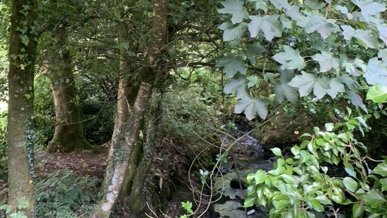 Photo of Outdoor in Lanivet