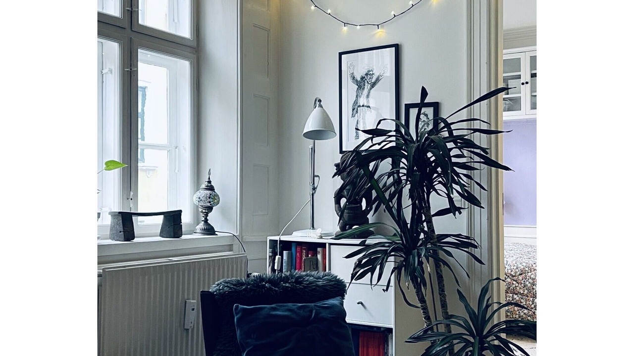 Photo of Others in Copenhagen City Centre
