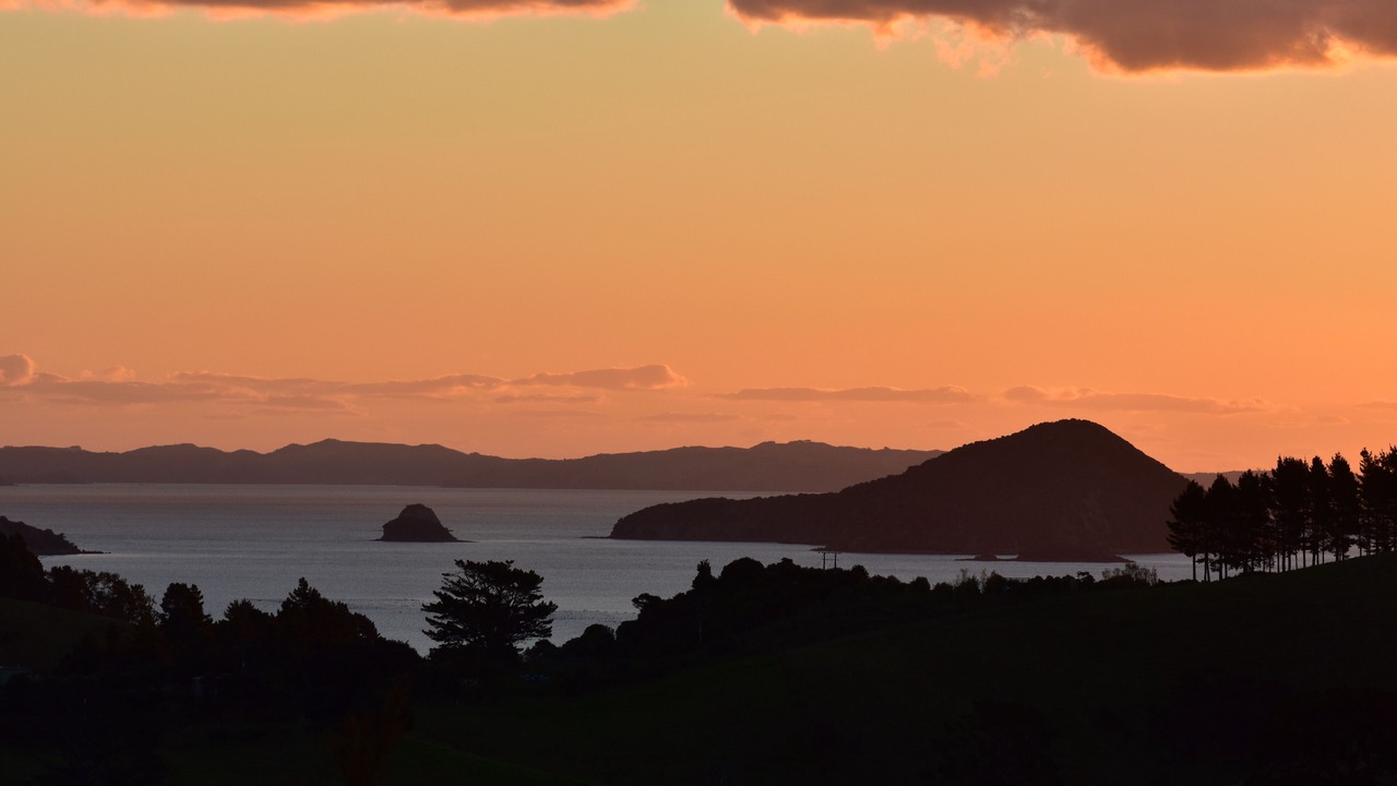 Photo of Others in Coromandel