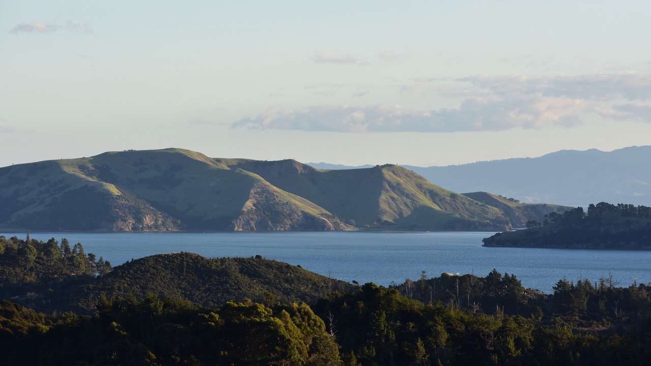 Photo of Bedroom in Coromandel