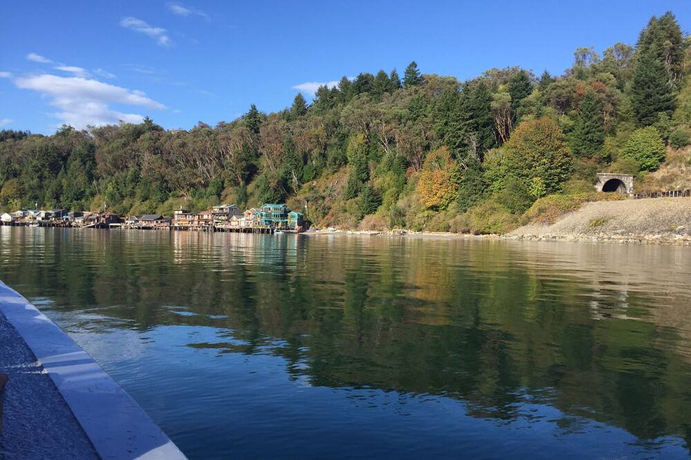 Photo of Others in Gig Harbor