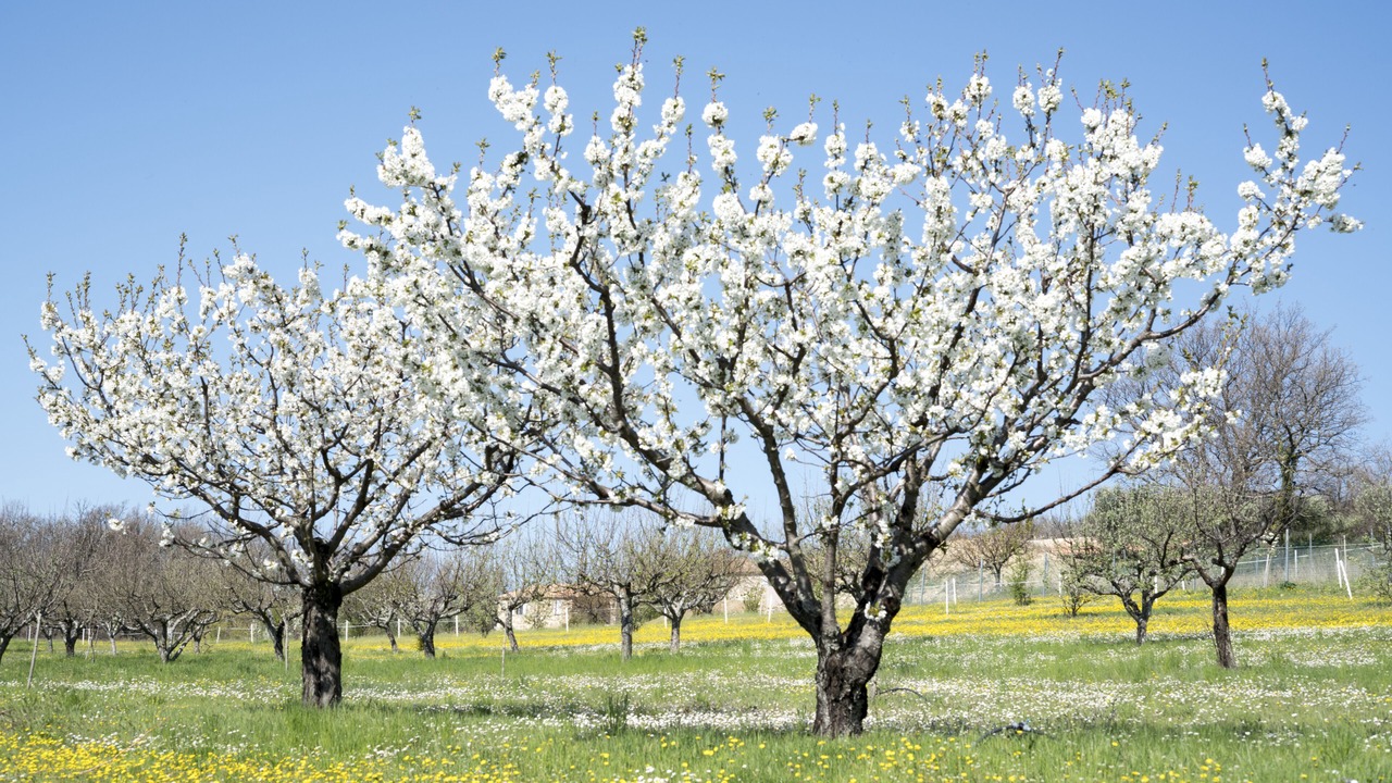 Photo of Outdoor in Oppedette