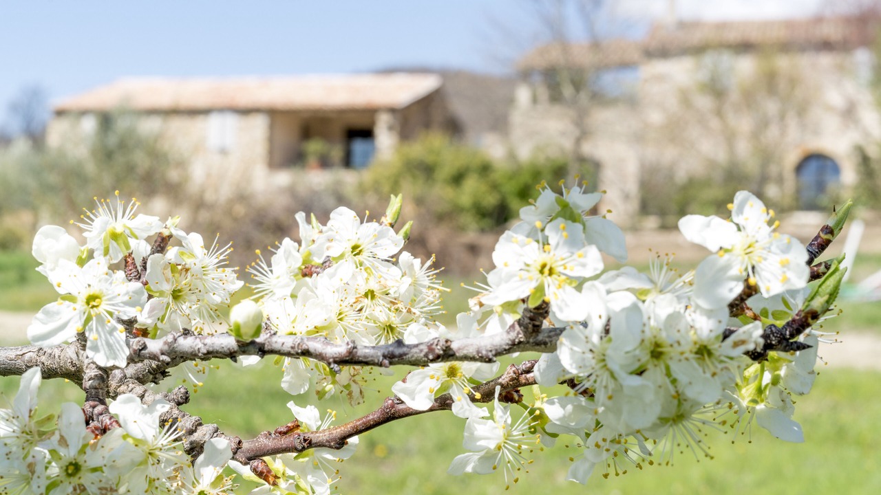 Photo of Outdoor in Oppedette