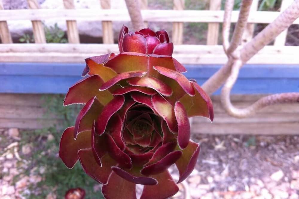 Photo of Others in Upper Wakefield