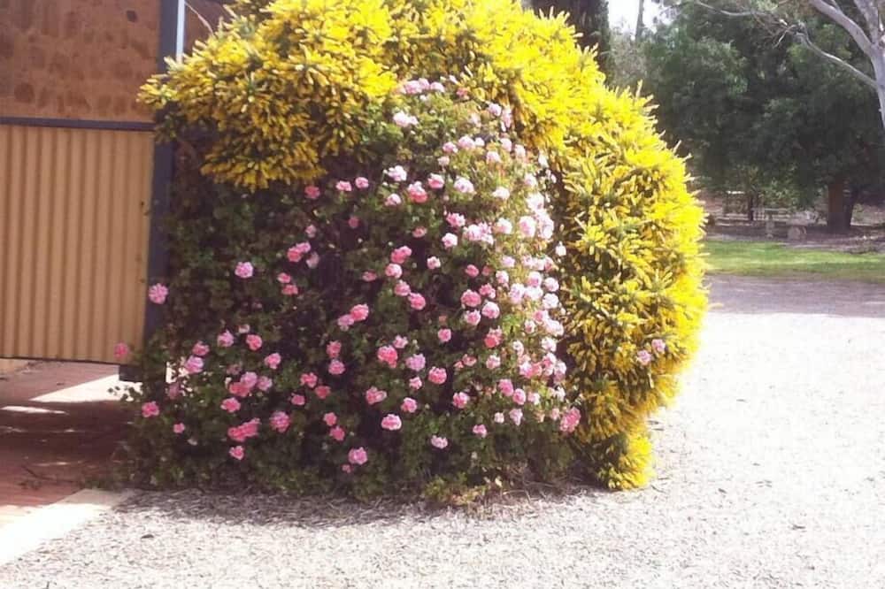 Photo of Outdoor in Upper Wakefield