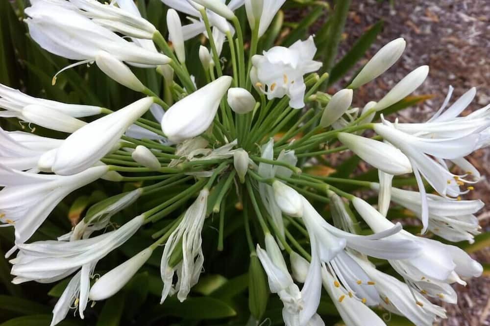 Photo of Others in Upper Wakefield