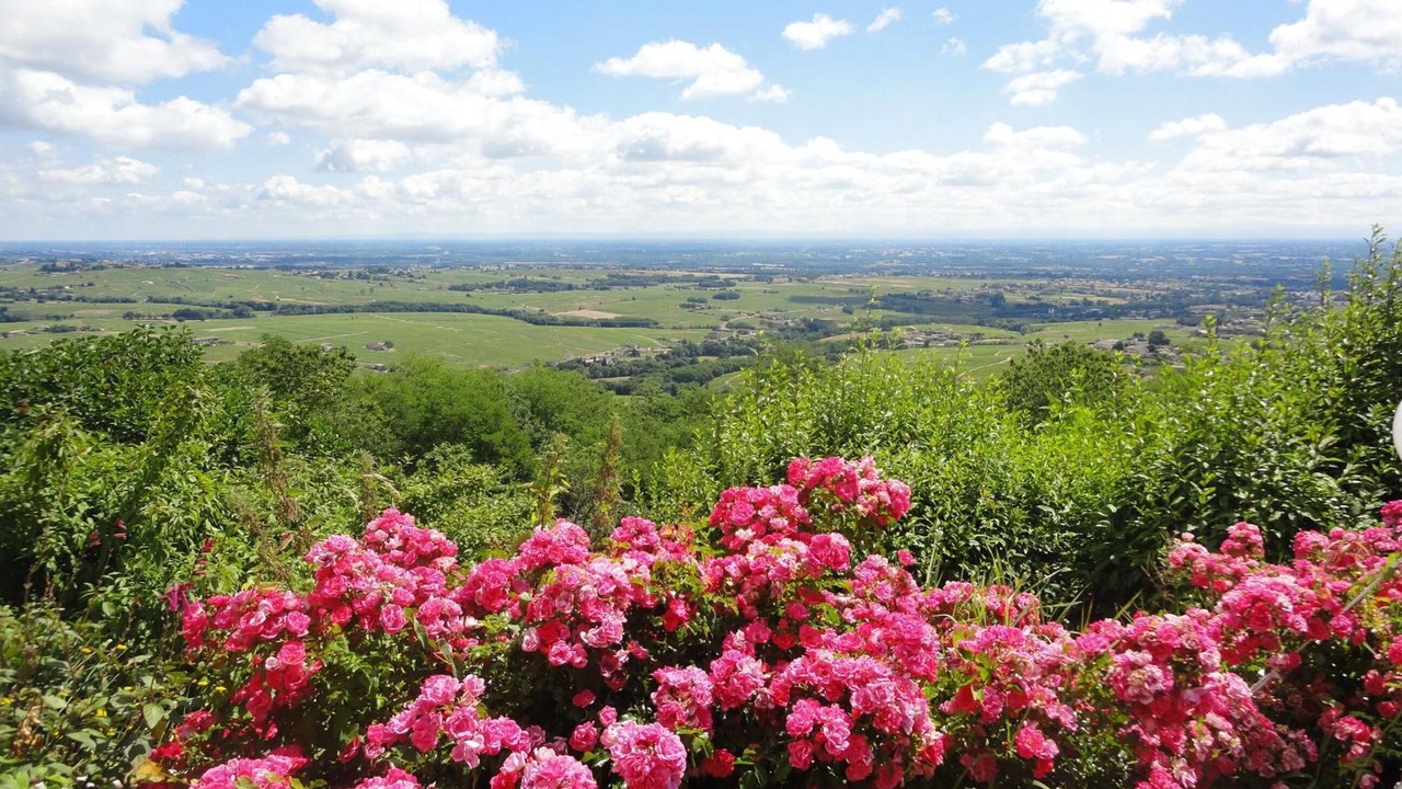 Photo of Outdoor in Chenas