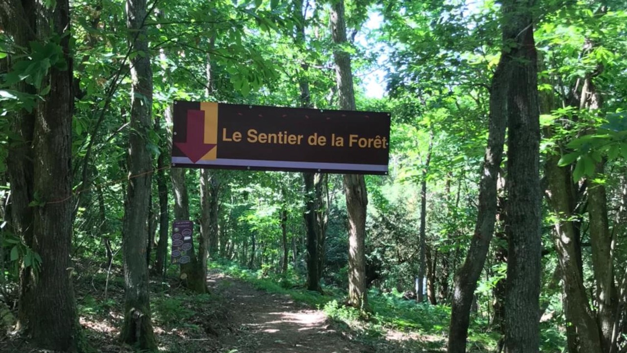 Photo of Outdoor in Chenas