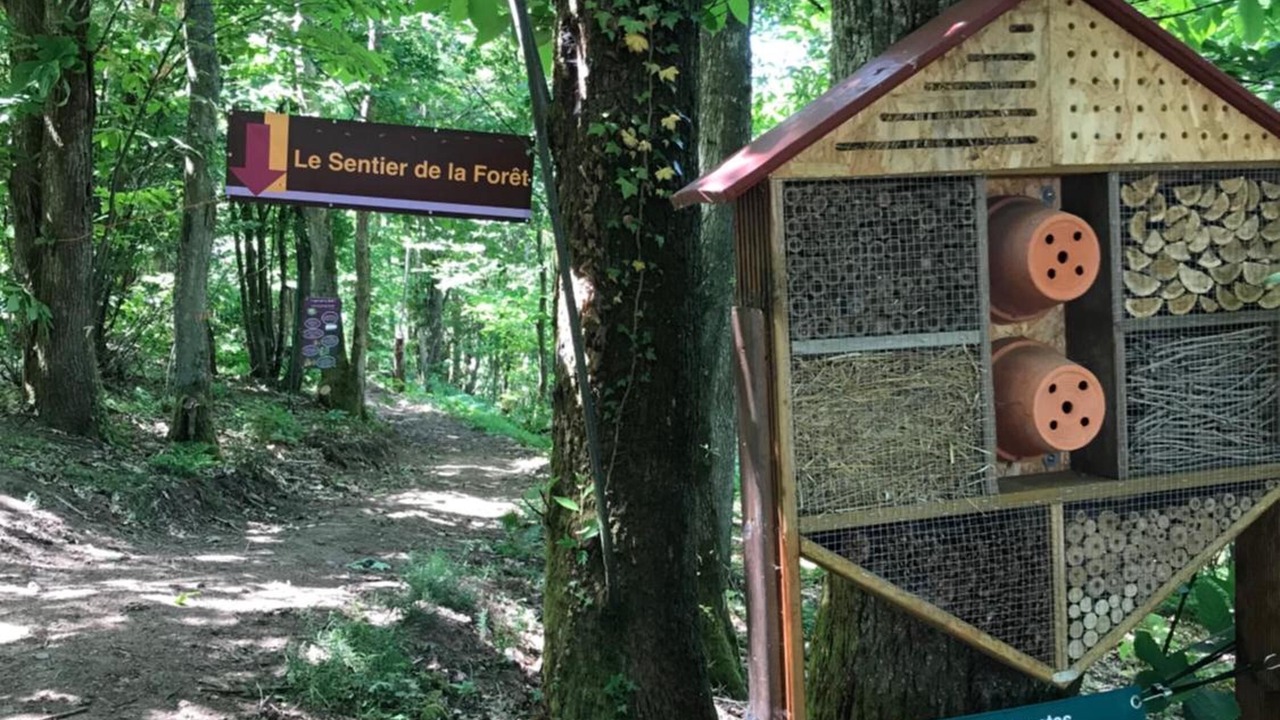 Photo of Outdoor in Chenas