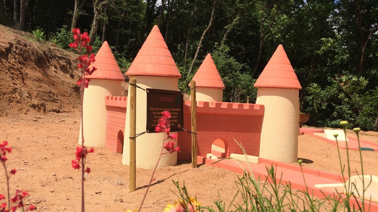 Photo of Others in Chenas