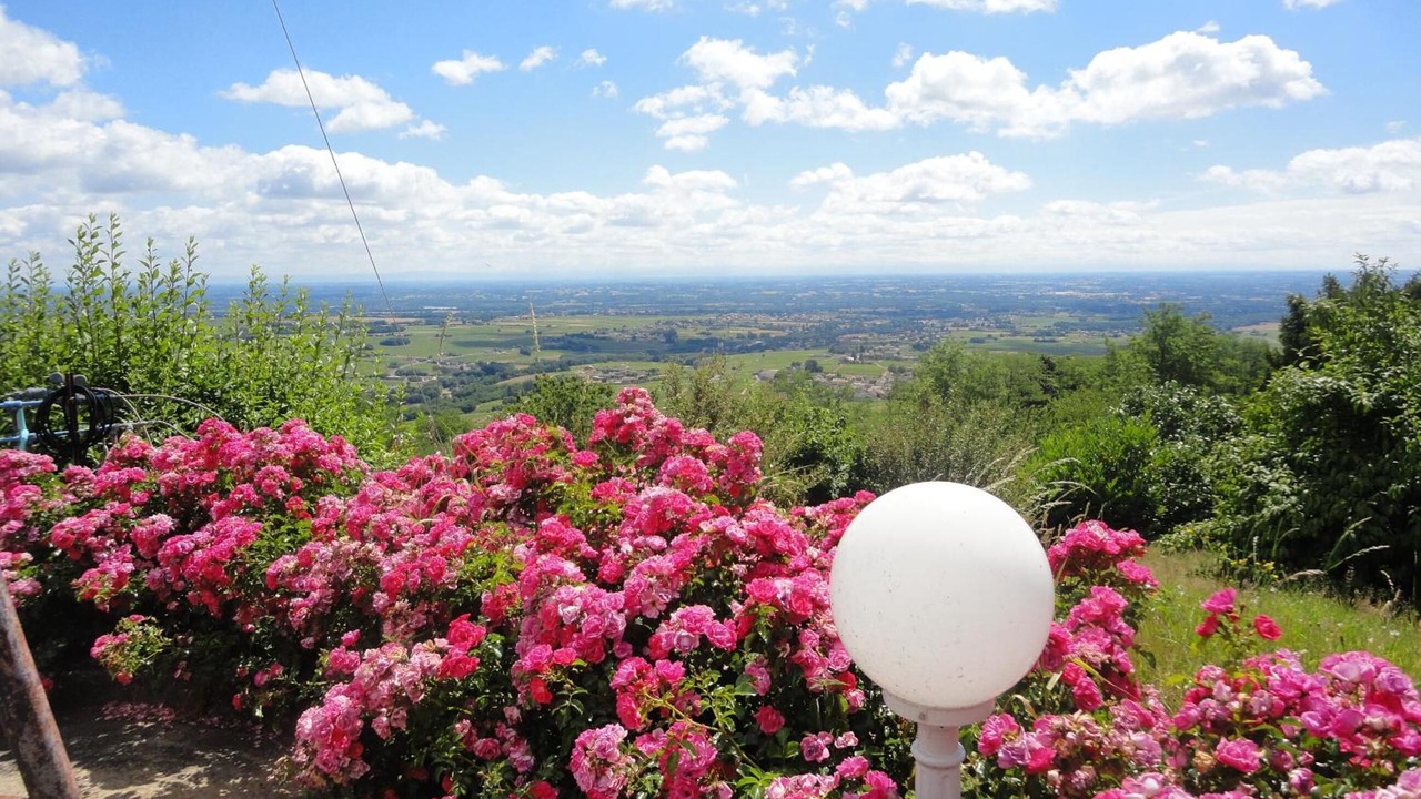 Photo of Outdoor in Chenas