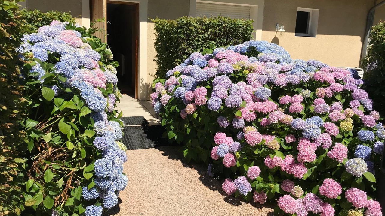 Photo of Outdoor in Chenas