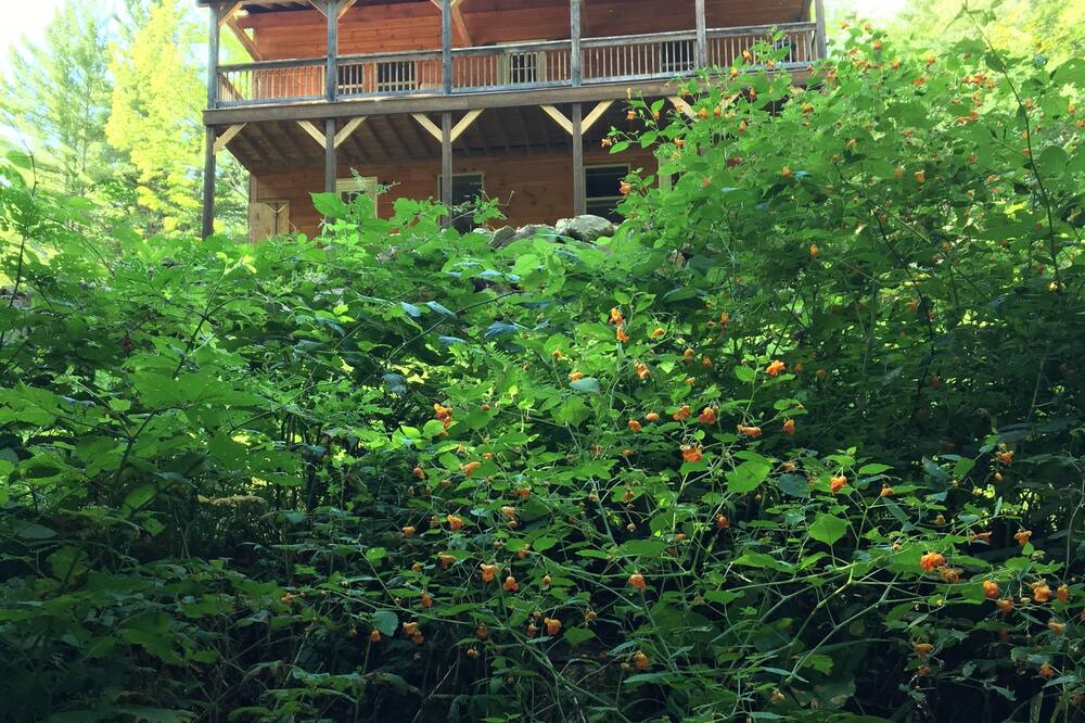 Photo of Outdoor in Stockbridge