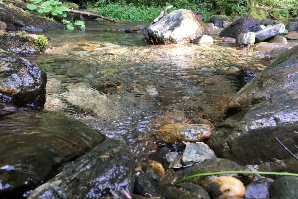 Photo of Outdoor in Stockbridge