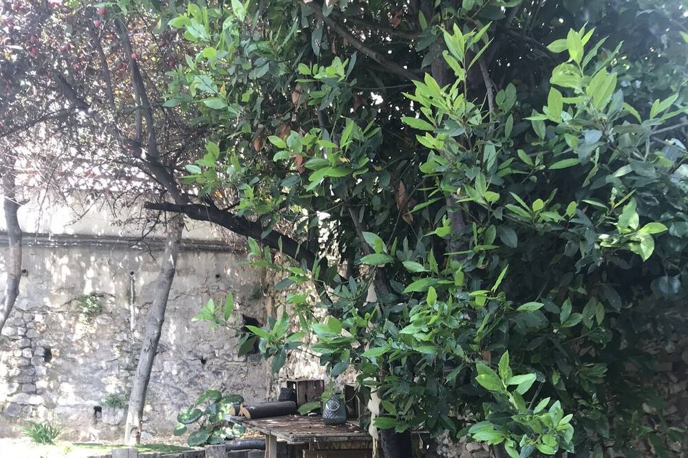 Photo of Outdoor in Bompard