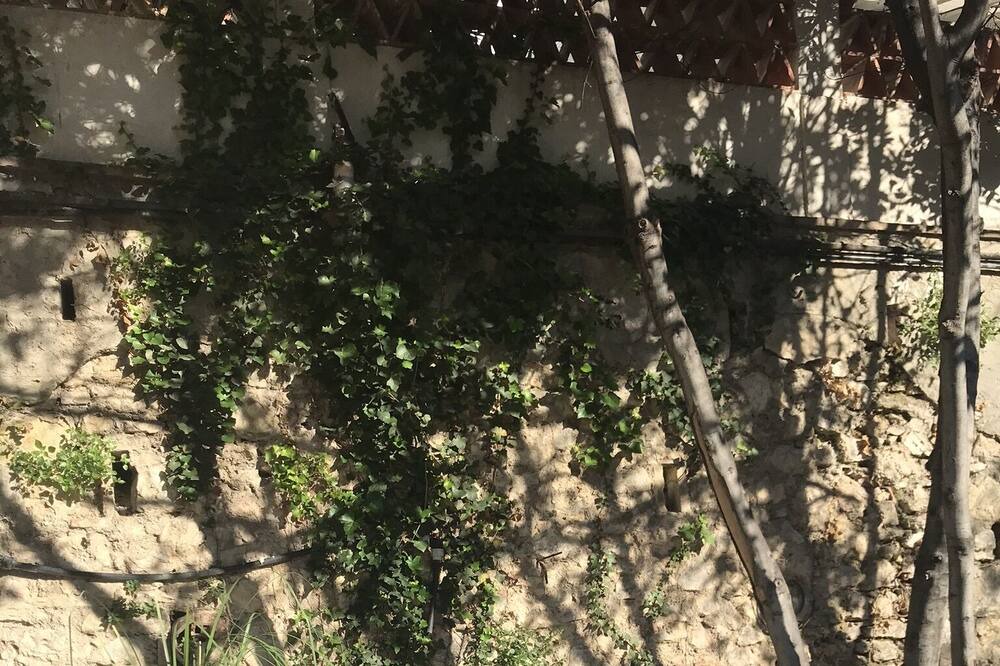 Photo of Outdoor in Bompard