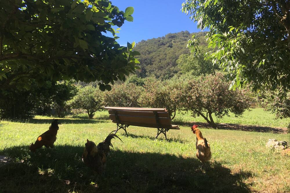 Photo of Outdoor in Santa Susanna