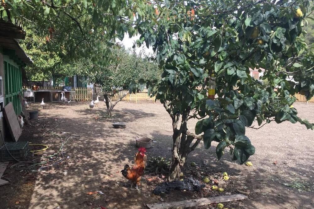 Photo of Outdoor in Santa Susanna