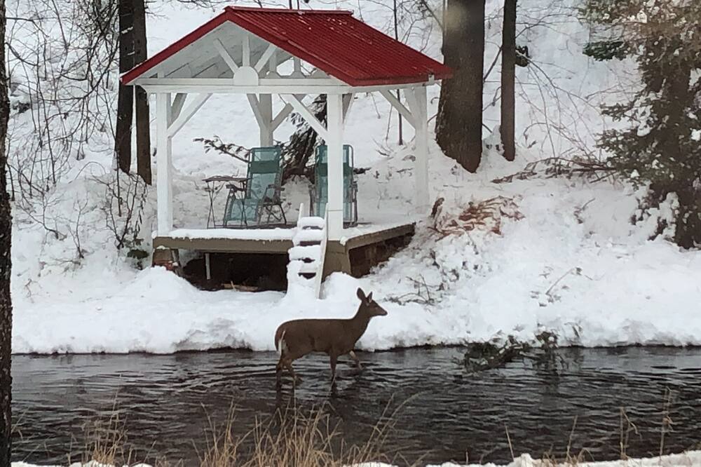 Photo of Outdoor in Saint-Elie-de-Caxton