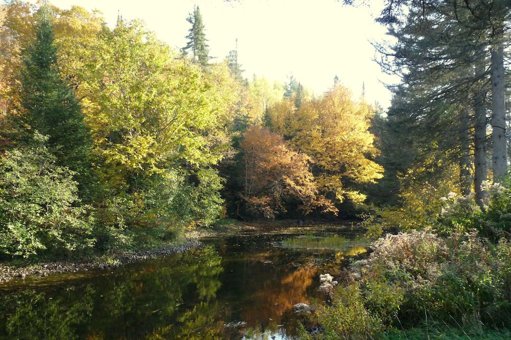 Photo of Outdoor in Saint-Elie-de-Caxton