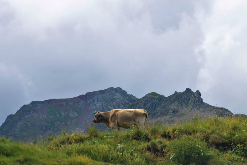 Photo of Outdoor in Soues