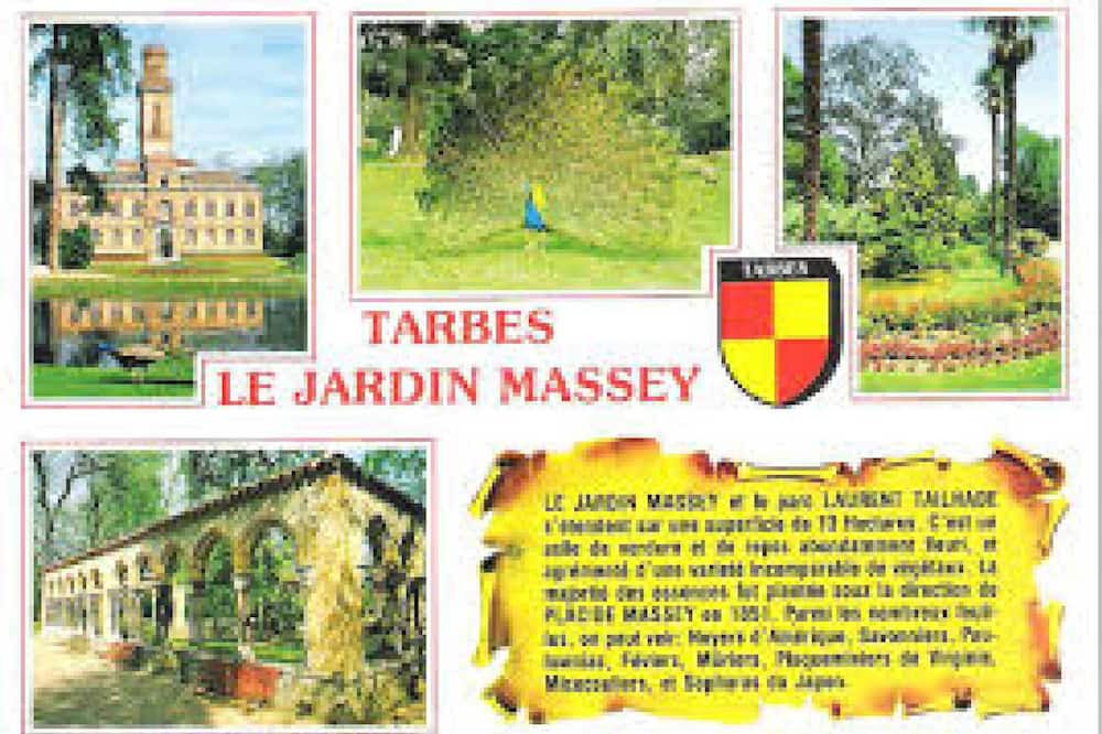 Photo of Outdoor in Soues