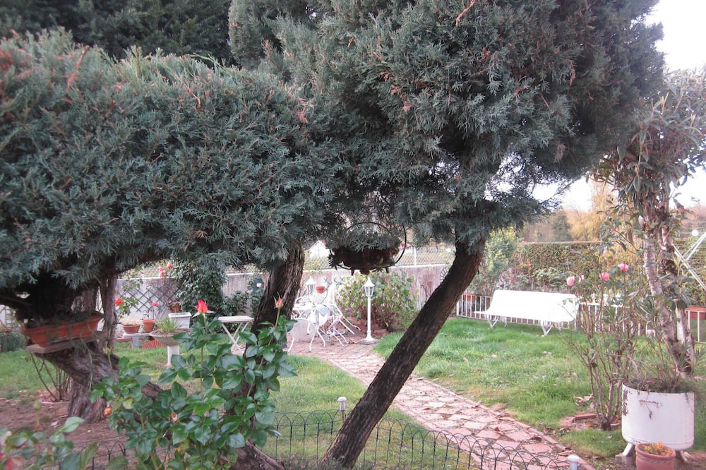 Photo of Outdoor in Soues