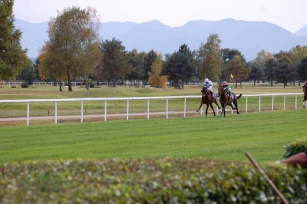 Photo of Others in Soues