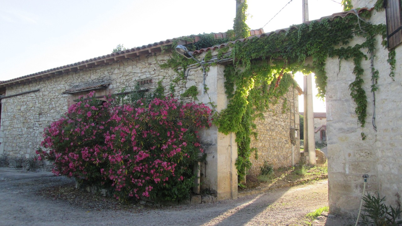 Photo of Outdoor in Villeneuve-sur-Vere