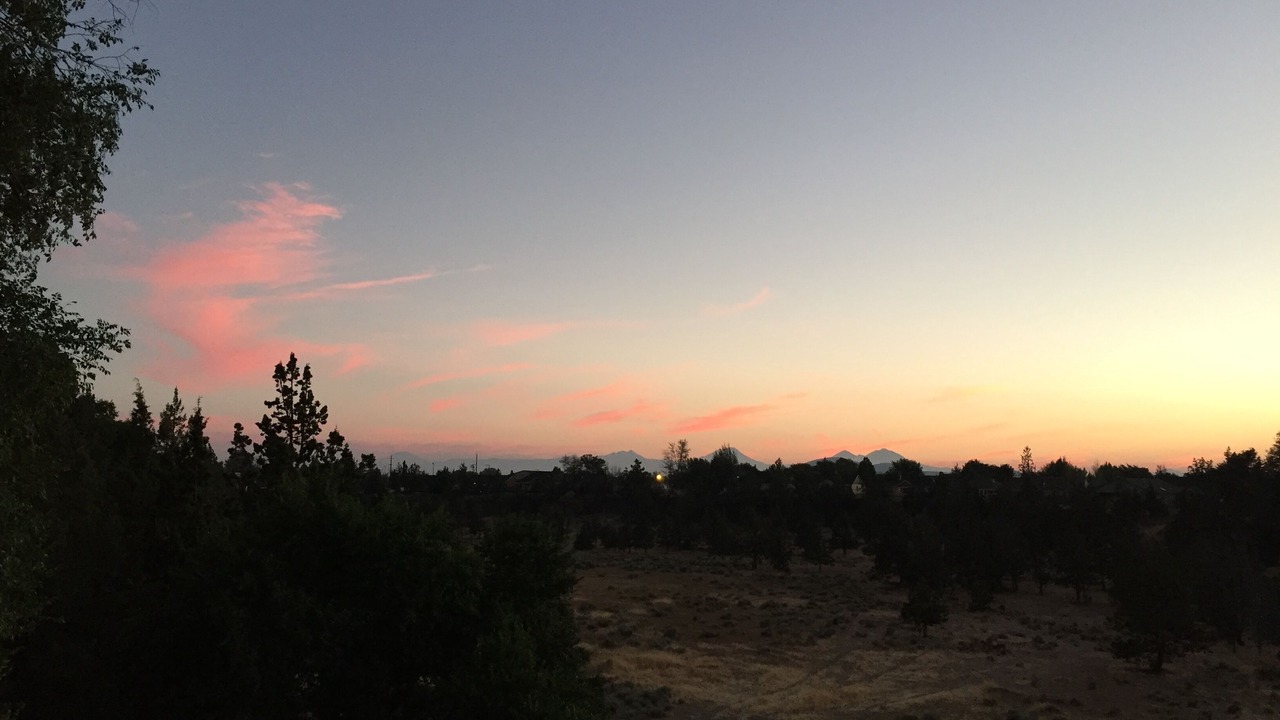 Photo of Others in Redmond