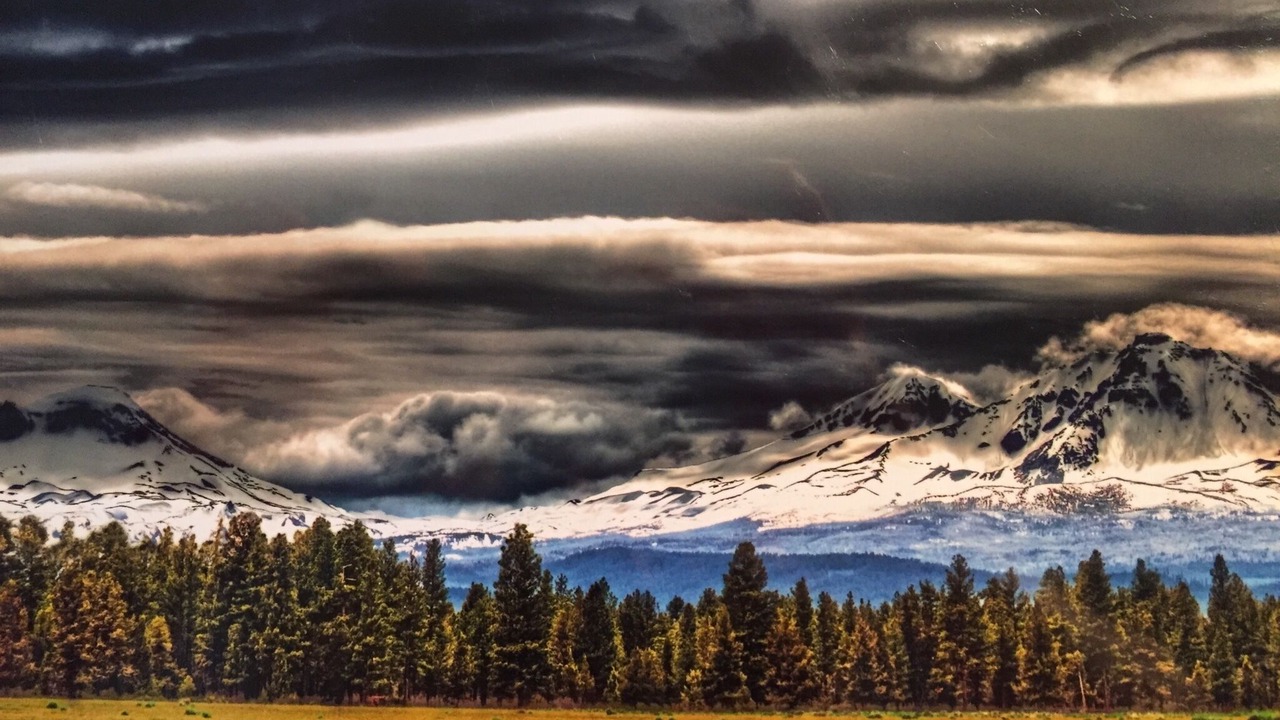 Photo of Others in Redmond