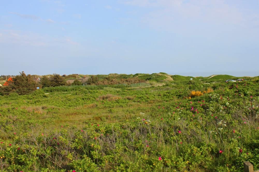 Photo of Outdoor in Ho