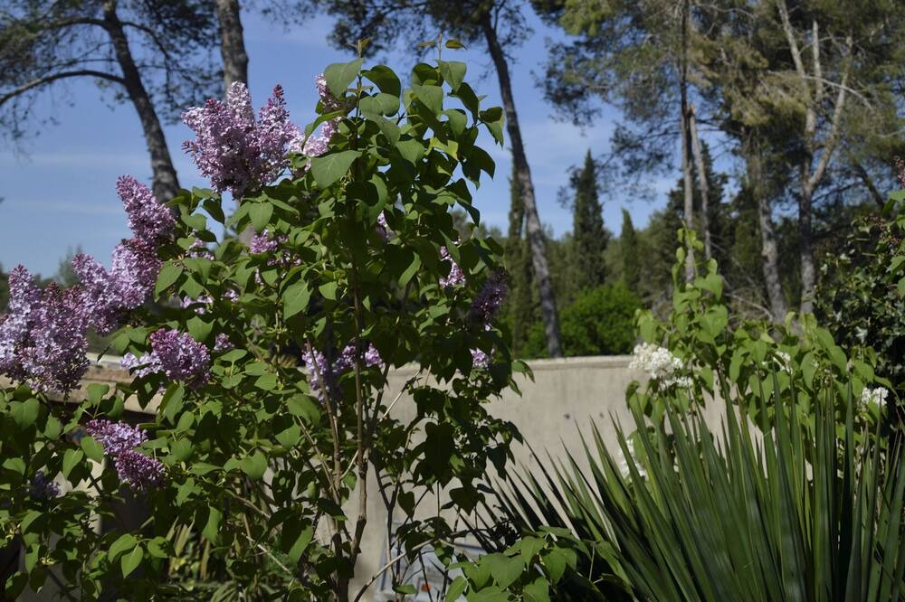 Photo of Outdoor in Assas