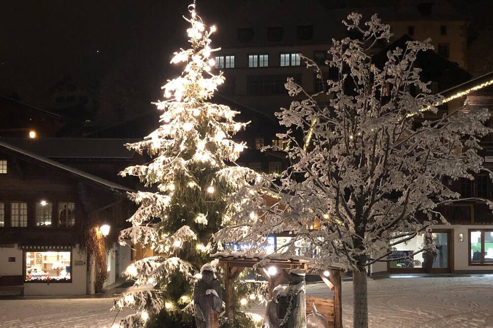 Photo of Outdoor in Saanen