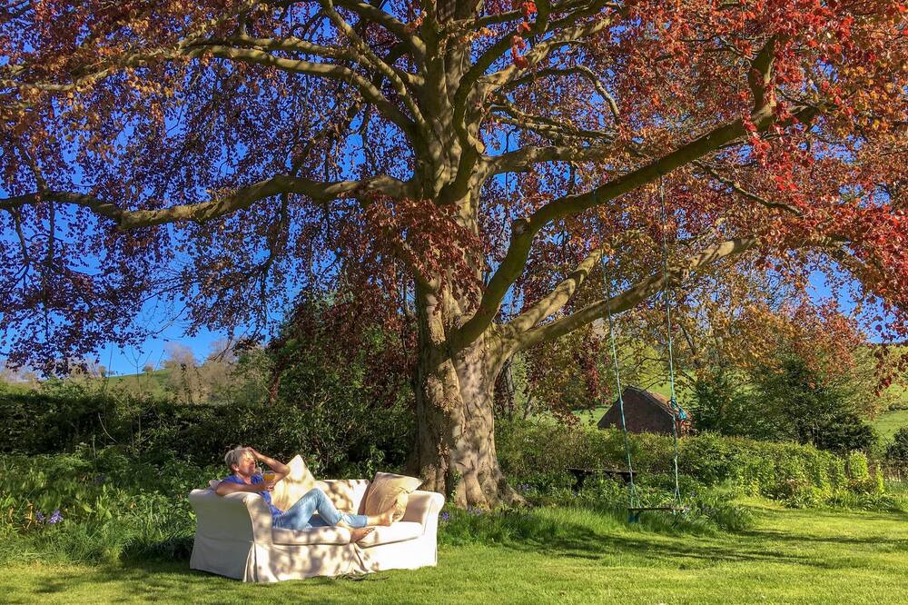 Photo of Outdoor in Welshpool