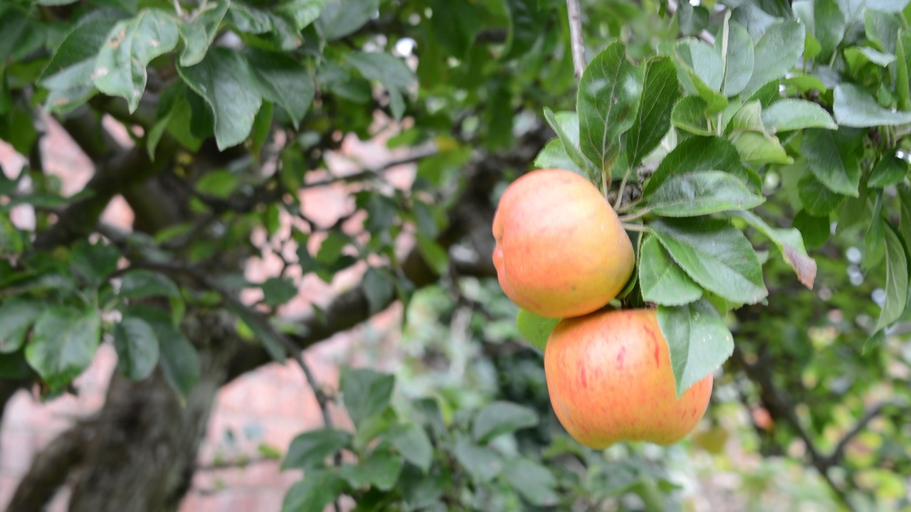 Photo of Outdoor in Walkerburn