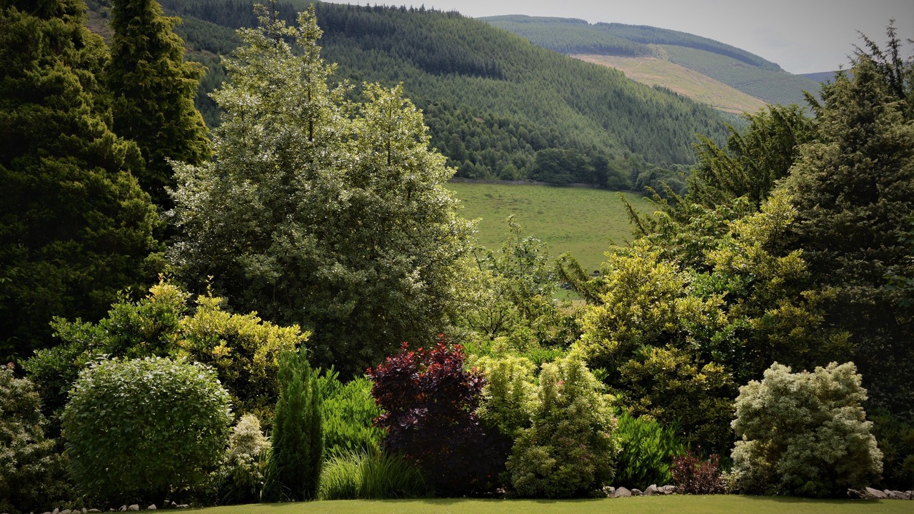 Photo of Outdoor in Walkerburn